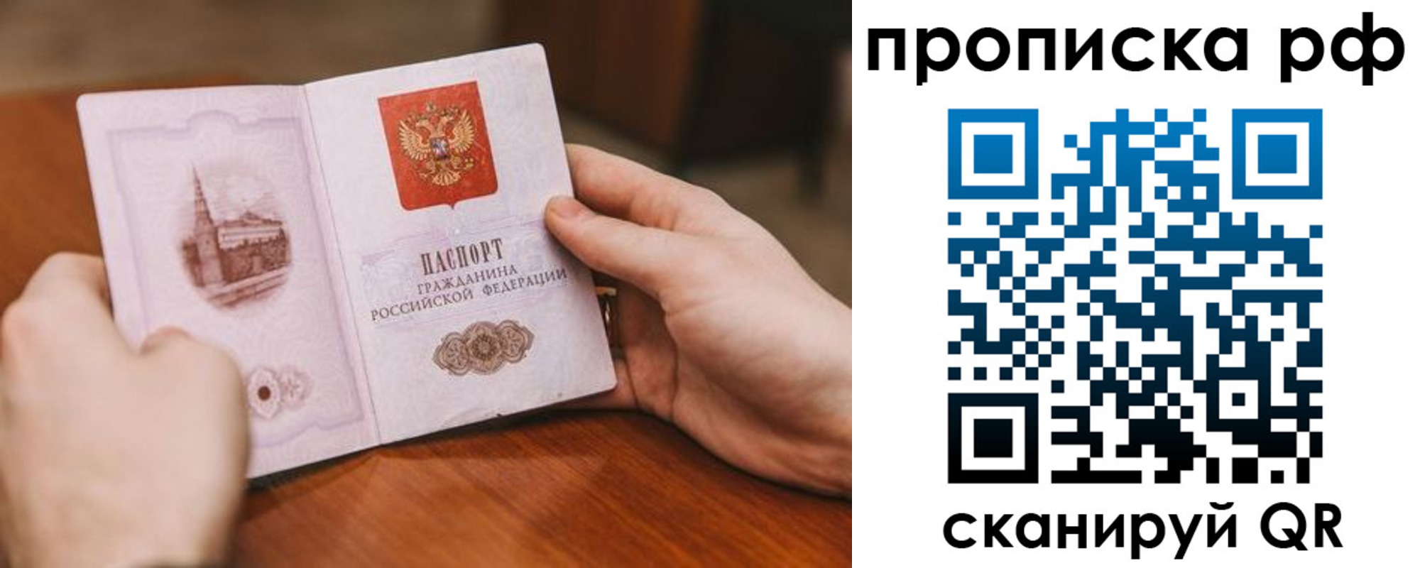 прописка поиск в Видном